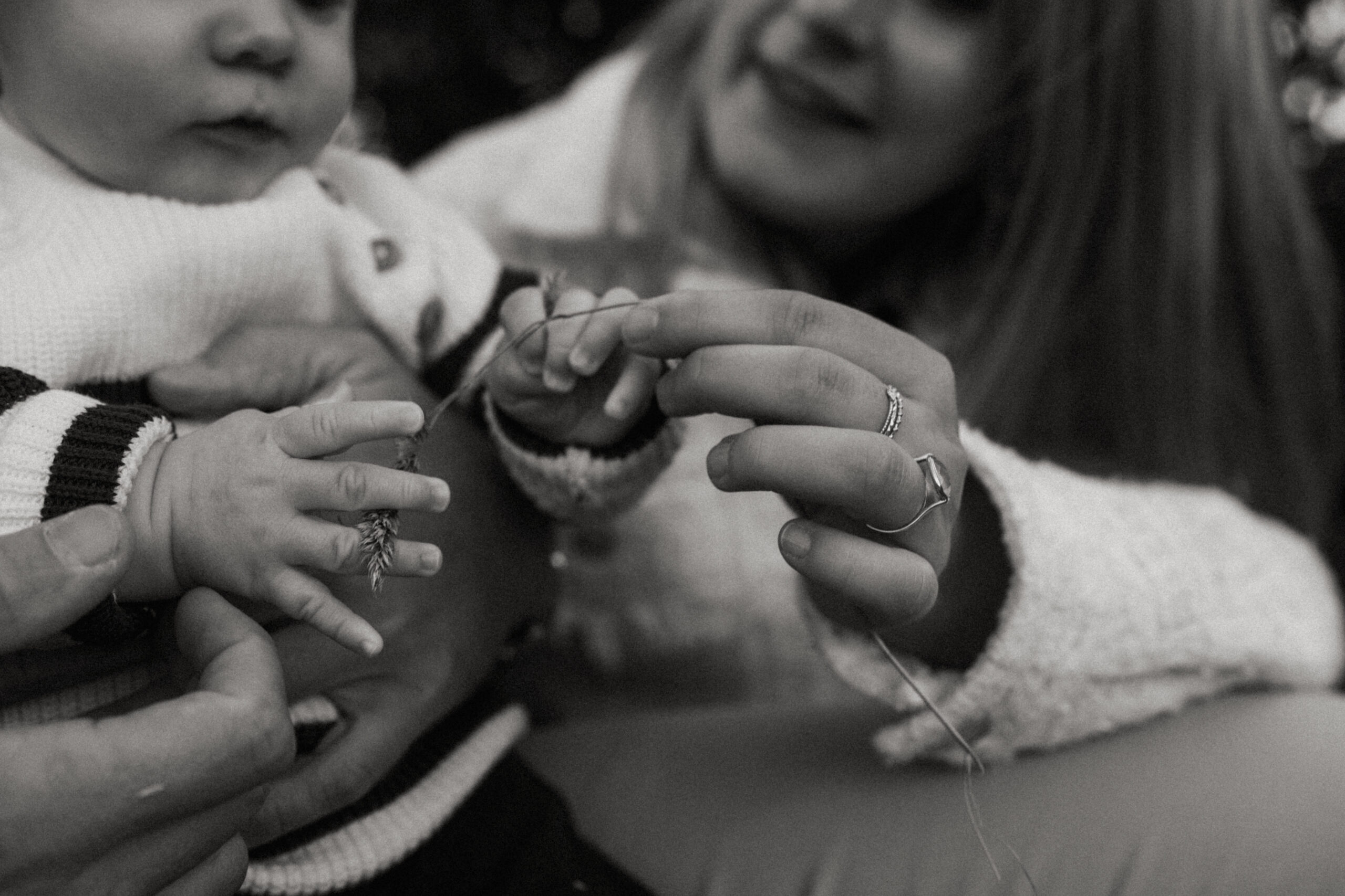 Forfait famille - photo 4